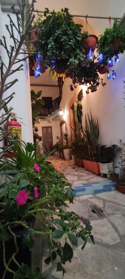 فندق El Jardin De La Abuela كويريتارو المظهر الخارجي الصورة