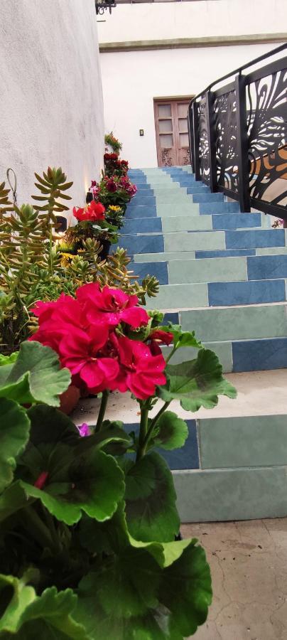 فندق El Jardin De La Abuela كويريتارو المظهر الخارجي الصورة