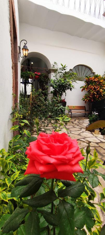 فندق El Jardin De La Abuela كويريتارو المظهر الخارجي الصورة