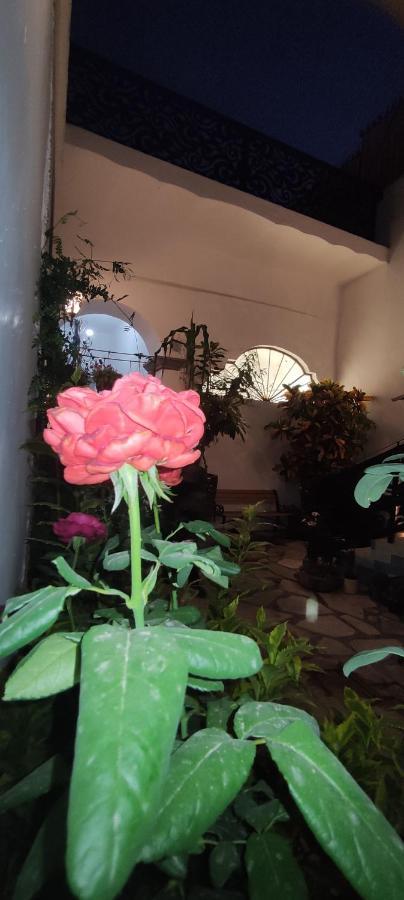 فندق El Jardin De La Abuela كويريتارو المظهر الخارجي الصورة